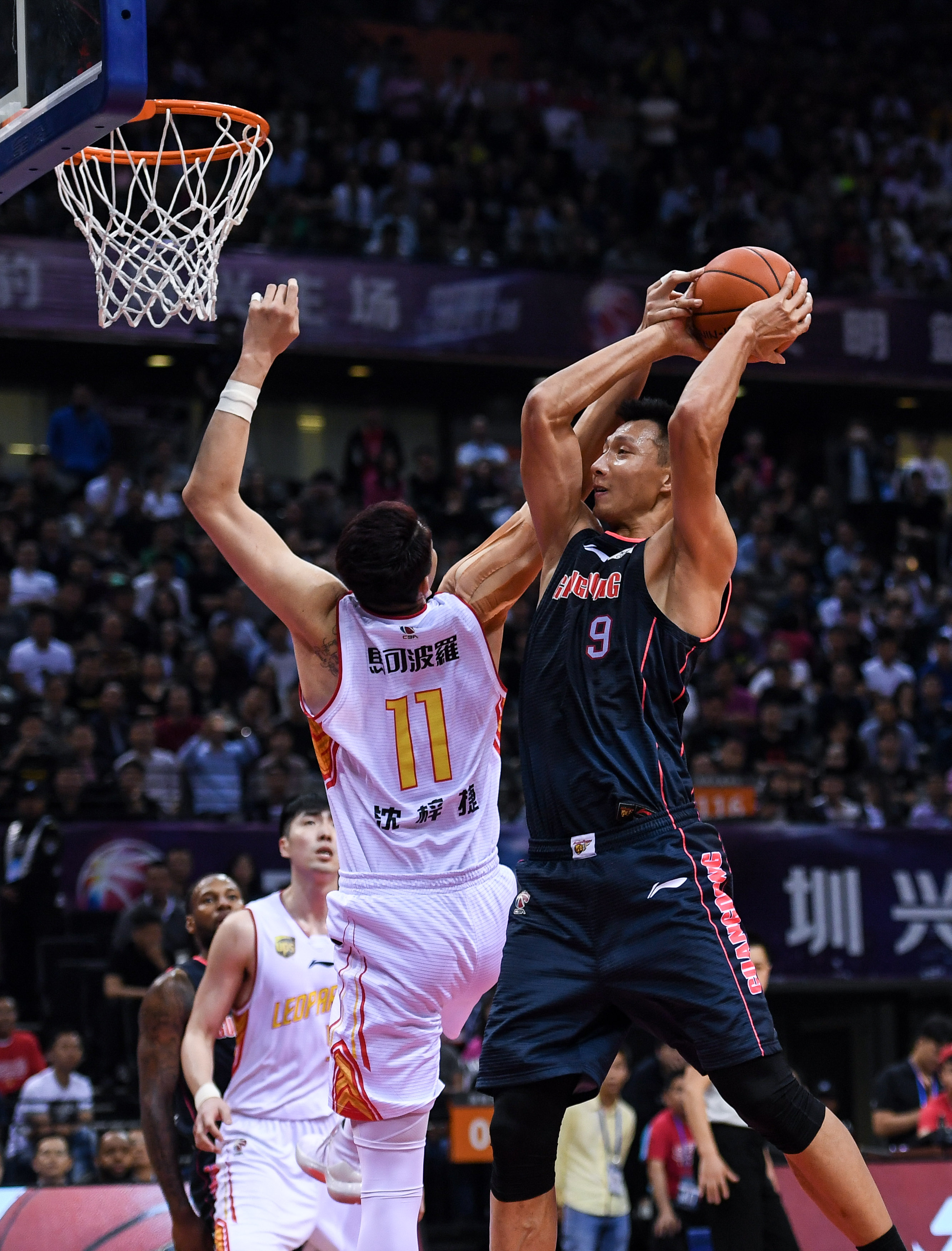 不仅显示了 不仅显示了