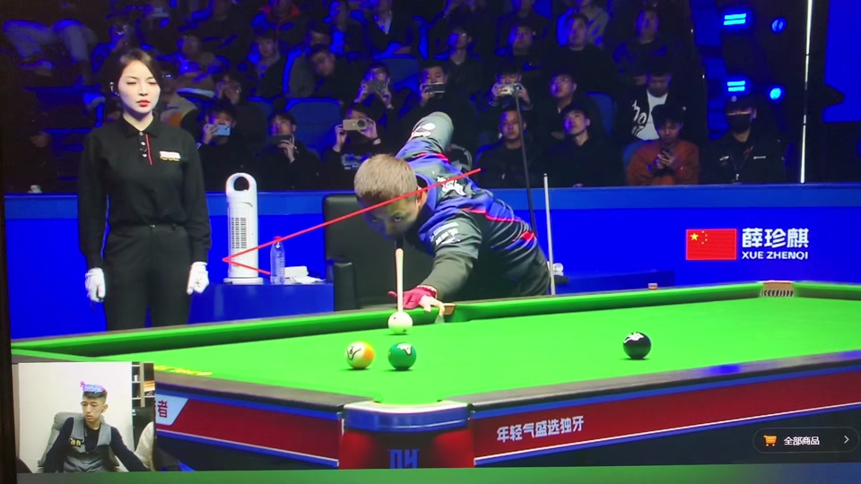 但被纳入各 但被纳入各